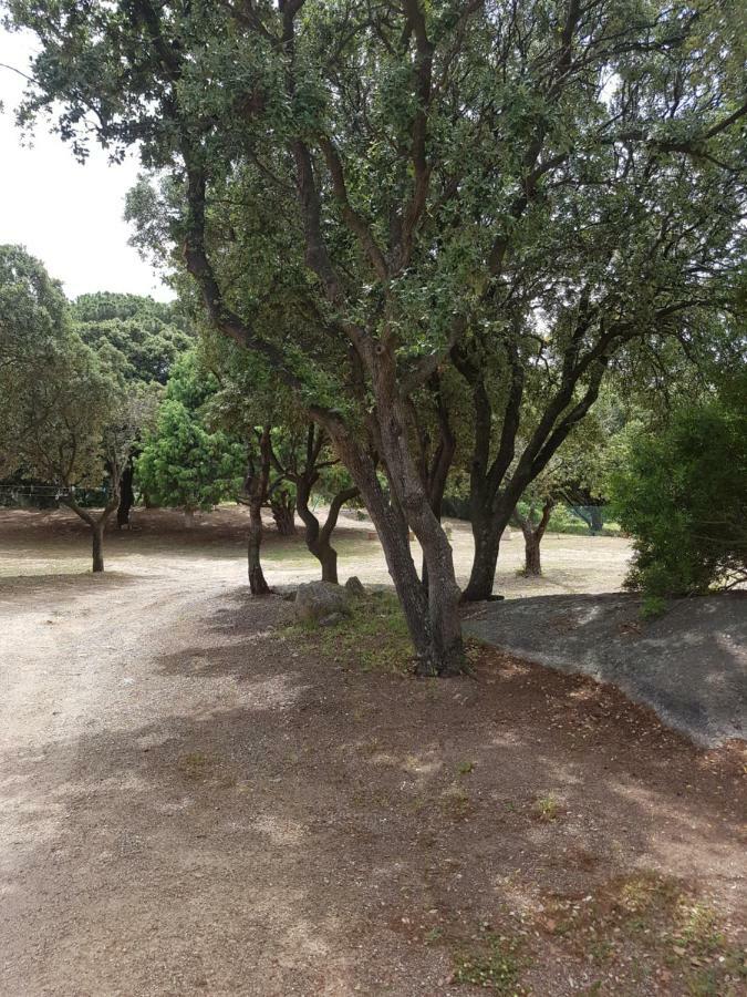 Apartmán Casa Prescilia Lumio  Exteriér fotografie